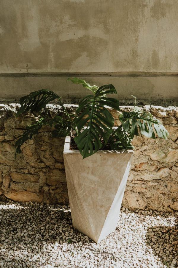 Casa Chimi Tulum Bed and Breakfast Εξωτερικό φωτογραφία